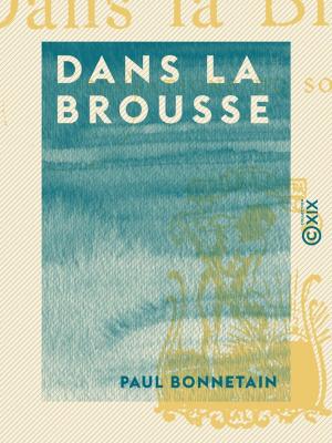 Cover of the book Dans la brousse by François-Joseph Clozel