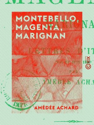 Cover of the book Montebello, Magenta, Marignan by Frédéric Soulié