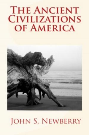 bigCover of the book The Ancient Civilizations of America by 