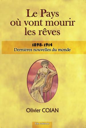 Cover of the book Le Pays où vont mourir les rêves by A.R. Cooper