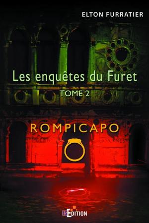 Cover of the book Les enquêtes du Furet by Marie Godard