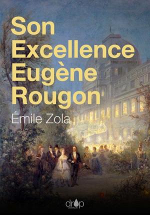 Cover of the book Son Excellence Eugène Rougon by Andréa de Nerciat