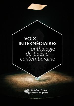 Cover of the book Voix intermédiaires by Jacques Ancet
