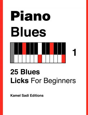 Cover of the book Piano Blues Vol. 1 by Martin Woodward