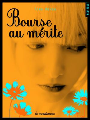 Cover of the book Bourse au mérite by Laurelin Paige