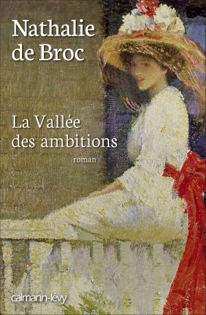 Cover of the book La Vallée des ambitions by Marie-Bernadette Dupuy
