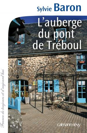 Cover of the book L'Auberge du pont de Tréboul by Sylvie Lauduique-Hamez