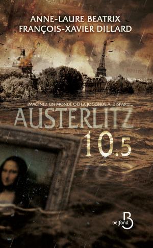 Book cover of Austerlitz 10.5