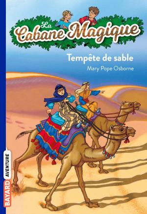Cover of the book La cabane magique, Tome 29 by Marie Aubinais