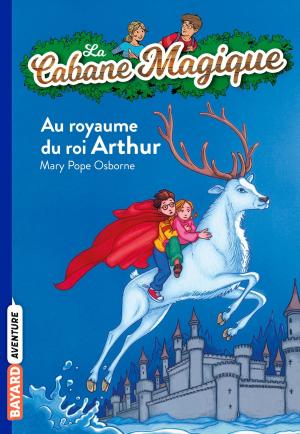 Cover of La cabane magique, Tome 24