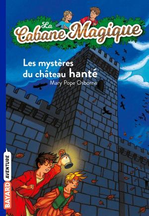 Cover of the book La cabane magique, Tome 25 by Catherine Viansson Ponte, Daniel-Rodolphe Jacquette, Jacqueline Cohen