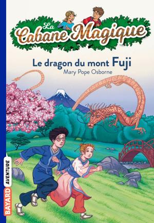 Cover of the book La cabane magique, Tome 32 by Dillie Dorian