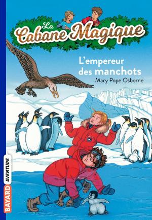 Cover of the book La cabane magique, Tome 35 by Christophe Lambert
