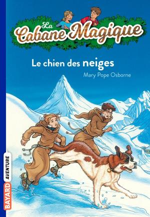 Cover of the book La cabane magique, Tome 41 by Nathalie Stragier