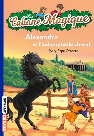 Cover of the book La cabane magique, Tome 44 by NATHALIE SAVEY