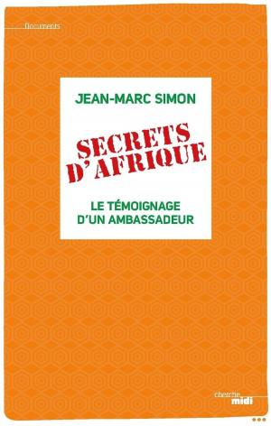 Book cover of Secrets d'Afrique
