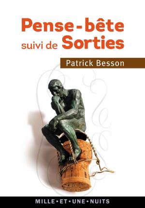 Cover of the book Pense-bête suivi de Sorties by Raphaël Enthoven