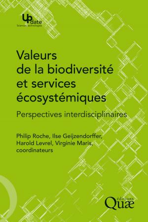 Cover of the book Valeurs de la biodiversité et services écosystémiques by Patrick Dugué, Faure Guy, Valentin Beauval