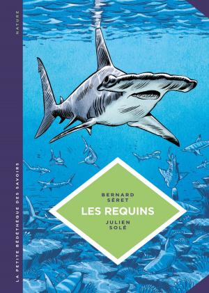 Cover of the book La petite Bédéthèque des Savoirs - Les requins by Jean Dufaux, Olivier Grenson
