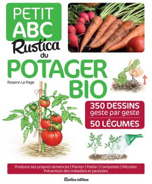 Cover of the book Petit ABC Rustica du potager bio by Flore Palix