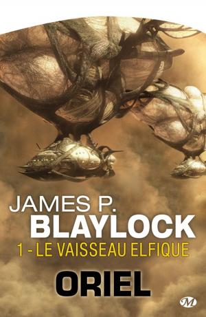 Cover of the book Le Vaisseau elfique by Margaret Weis, Tracy Hickman