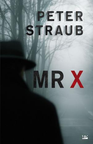 Cover of the book Mr X by Valérie Simon