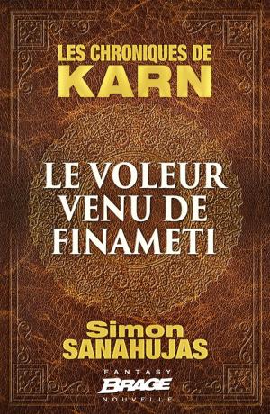 Book cover of Le voleur venu de Finameti
