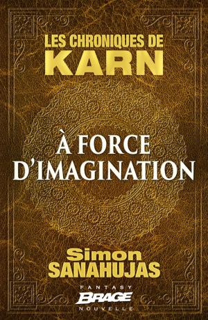 Cover of the book À force d'imagination by Magali Ségura
