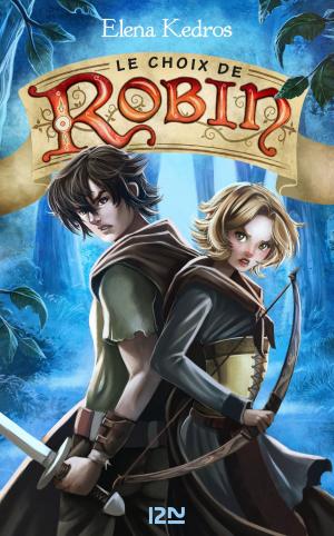 Cover of the book Le Choix de Robin - tome 2 by Nicolas REMIN