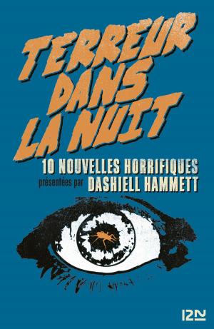 Cover of the book Terreur dans la nuit by Anne B. RAGDE