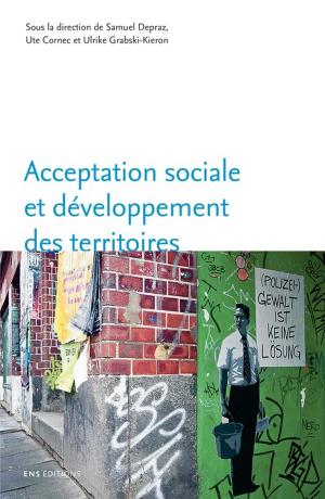 Cover of the book Acceptation sociale et développement des territoires by 大西一弘