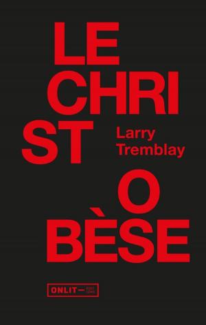 Book cover of Le Christ obèse