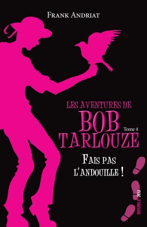 Cover of the book Fais pas l'andouille ! by Audrey Leblanc