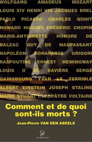 Cover of the book Comment et de quoi sont-ils morts ? by Frédérique Bonamain