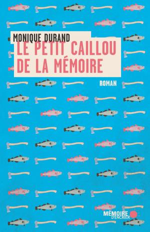 Book cover of Le petit caillou de la mémoire