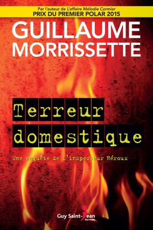 Cover of the book Terreur domestique by Guillaume Morrissette