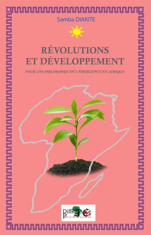Cover of the book RÉVOLUTION ET DÉVELOPPEMENT by FALOUKOU DOSSO