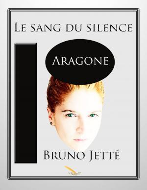 Cover of Le sang du silence 2: Aragone