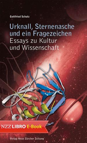 Cover of the book Urknall, Sternenasche und ein Fragezeichen by Andreas Müller