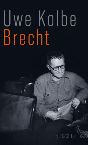 Cover of the book Brecht by Prof. Dr. Dieter Kühn