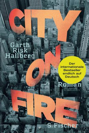 Cover of the book City on Fire by Roger Willemsen