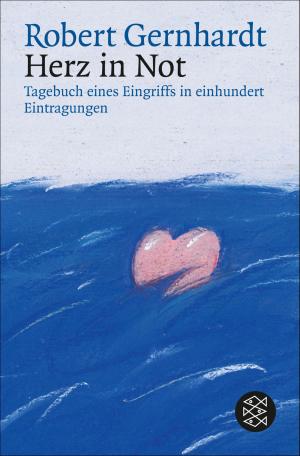 Cover of the book Herz in Not by Theodor Storm