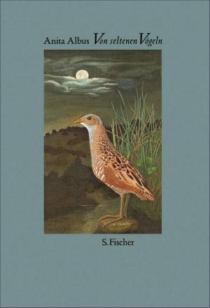 Cover of the book Von seltenen Vögeln by Michael Lentz