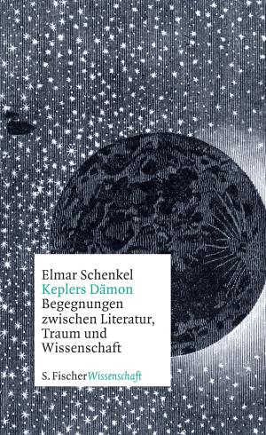 Cover of the book Keplers Dämon by Slavoj Žižek