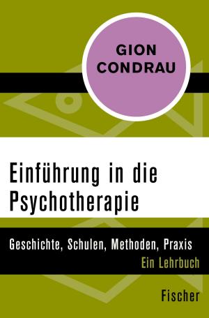 Cover of the book Einführung in die Psychotherapie by Prof. Dr. Andreas Eckert