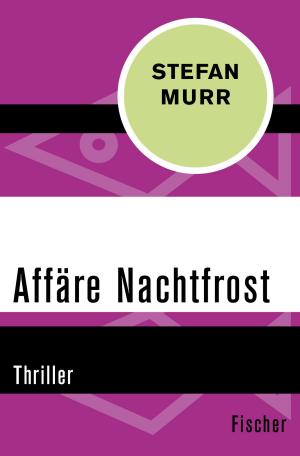 Book cover of Affäre Nachtfrost