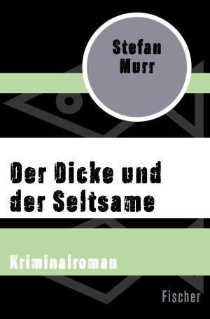 Cover of the book Der Dicke und der Seltsame by Eberhard Jäckel