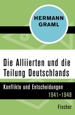 Book cover of Die Alliierten und die Teilung Deutschlands