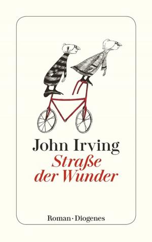Cover of Straße der Wunder