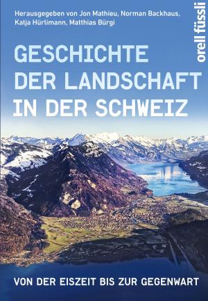 Cover of the book Geschichte der Landschaft in der Schweiz by Petra Wüst